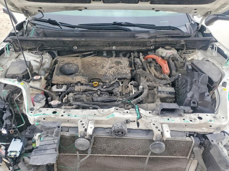 2019 TOYOTA RAV4 XSE 11