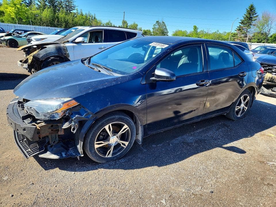 2019 TOYOTA COROLLA