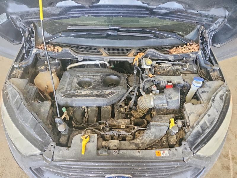 2019 FORD ECOSPORT SE 12