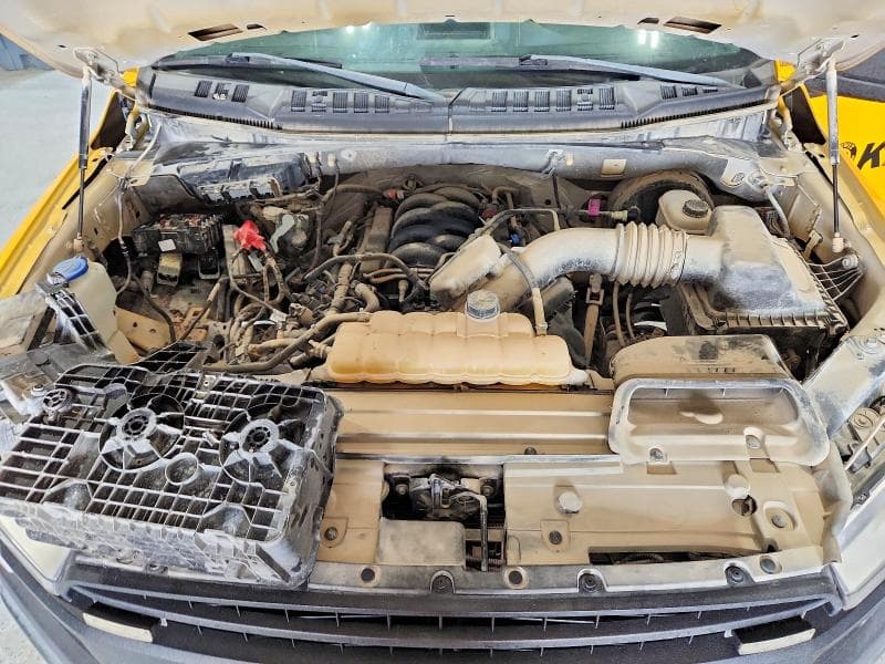 2020 FORD F150 11