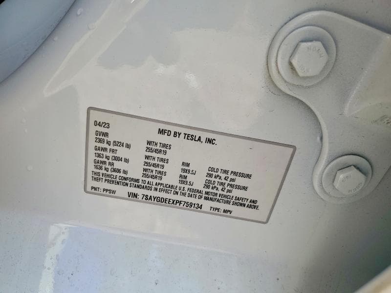 2023 TESLA MODEL Y 13