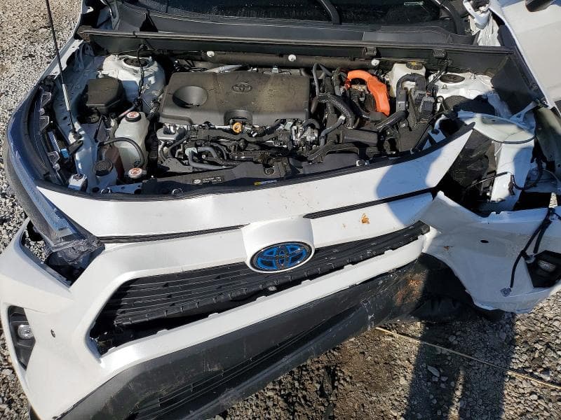 2024 TOYOTA RAV4 XLE PREMIUM 12