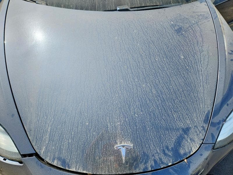 2019 TESLA MODEL 3 11