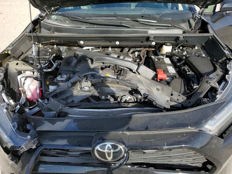 2025 TOYOTA RAV4 XLE 12