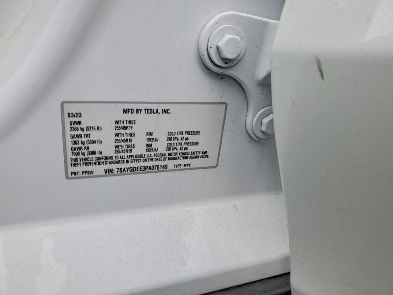 2023 TESLA MODEL Y 13