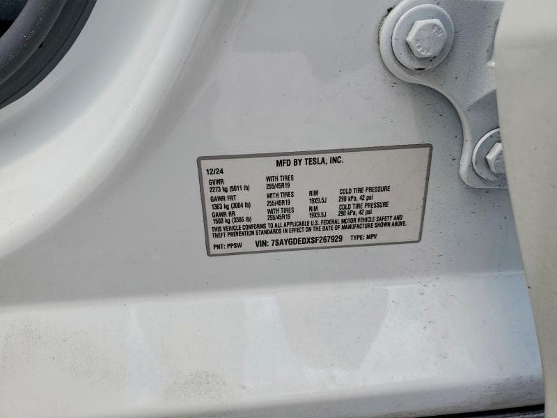 2025 TESLA MODEL Y 12