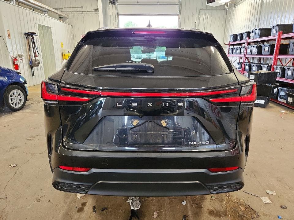 2024 LEXUS NX 250 PREMIUM 6