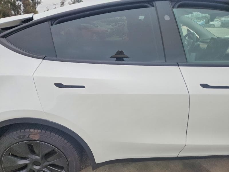 2024 TESLA MODEL Y 11