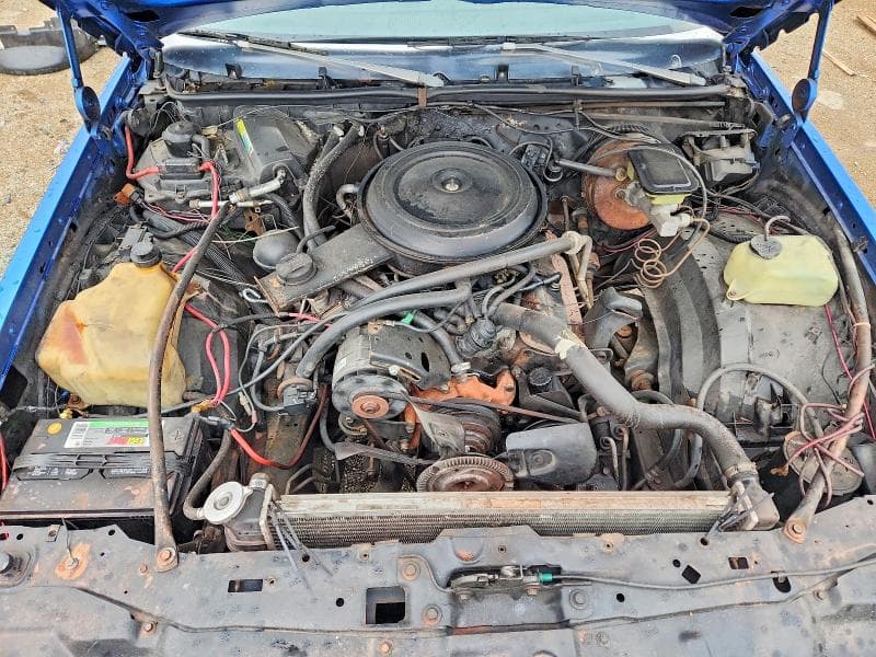 1984 PONTIAC GRAND PRIX LE 11
