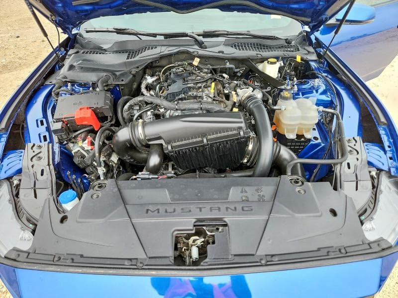 2024 FORD MUSTANG 11