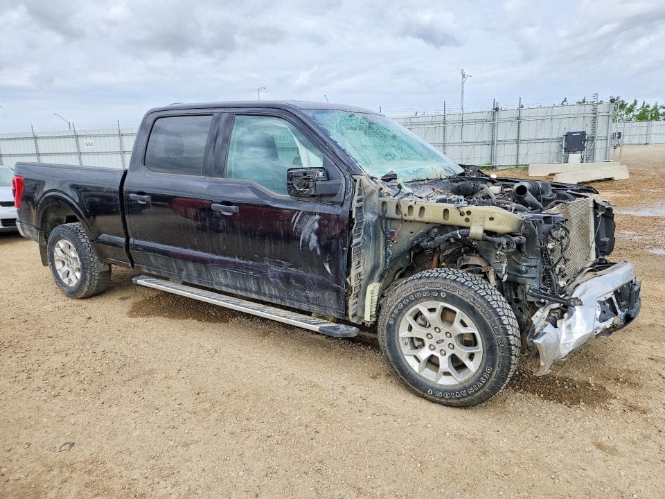 2023 FORD F150 SUPERCREW 4