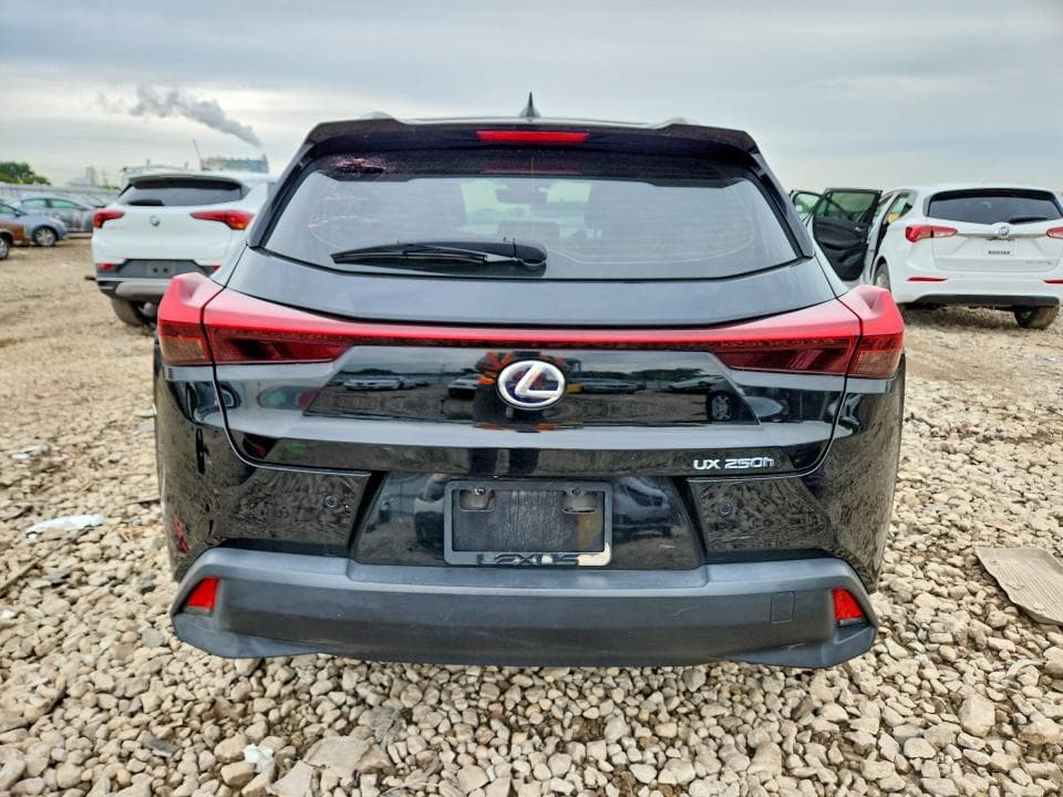 2020 LEXUS UX 250H 6