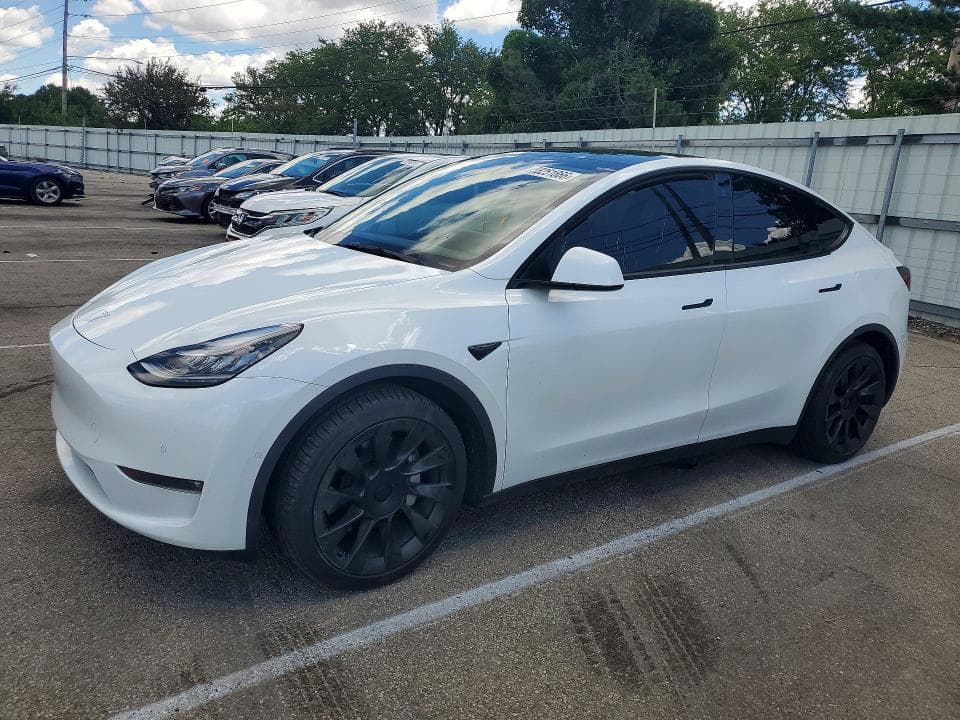 2021 TESLA MODEL  Y - 1