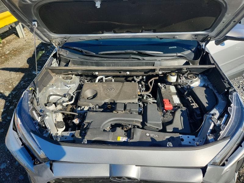 2025 TOYOTA RAV4 LE 12