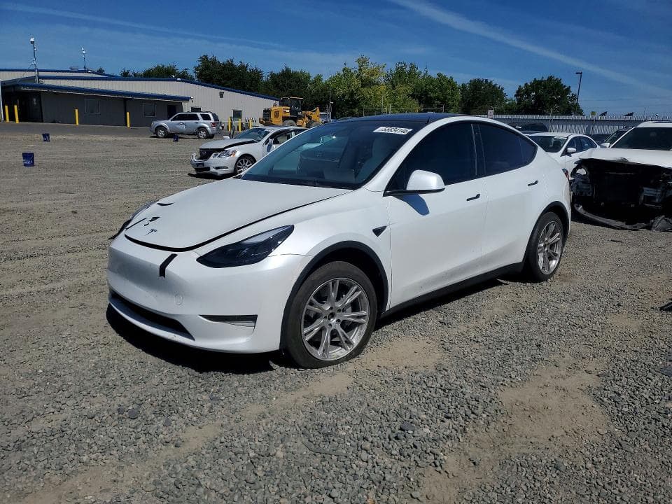 2023 TESLA MODEL Y - 1