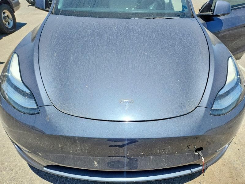 2023 TESLA MODEL Y 11