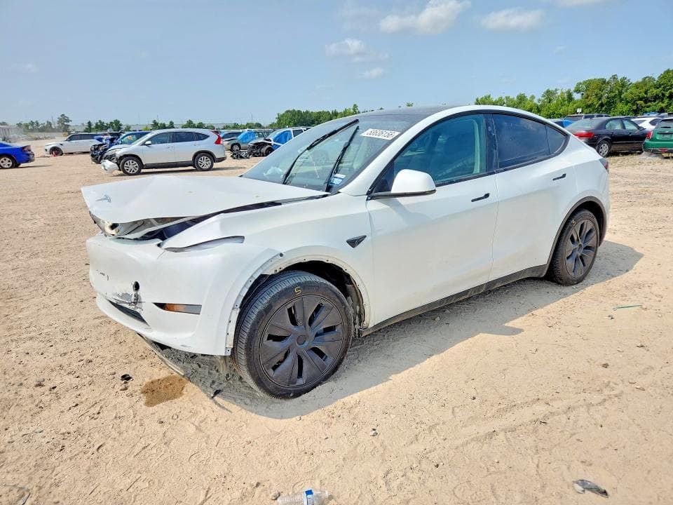 2025 TESLA MODEL Y - 1
