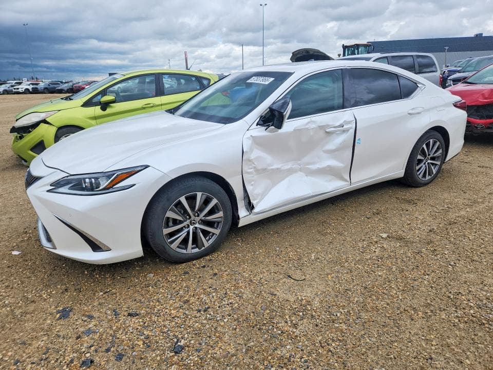 2019 LEXUS ES 350