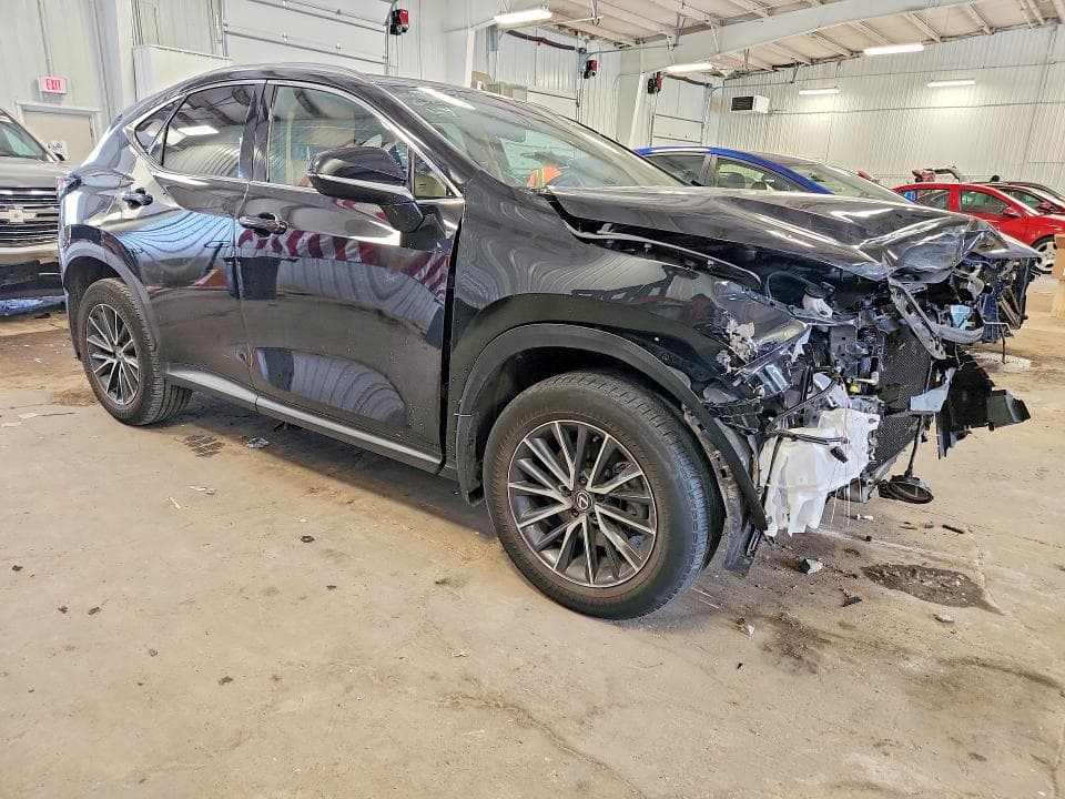 2024 LEXUS NX 250 PREMIUM 4