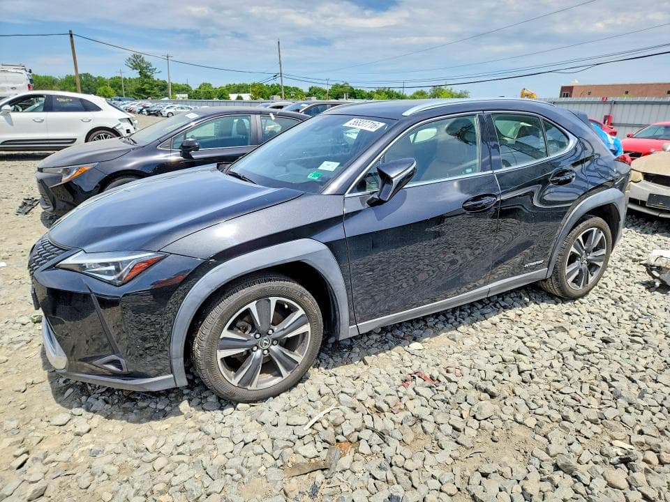 2019 LEXUS UX 250H