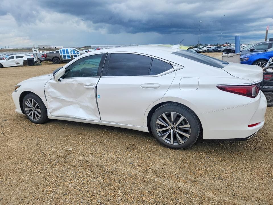 2019 LEXUS ES 350 2