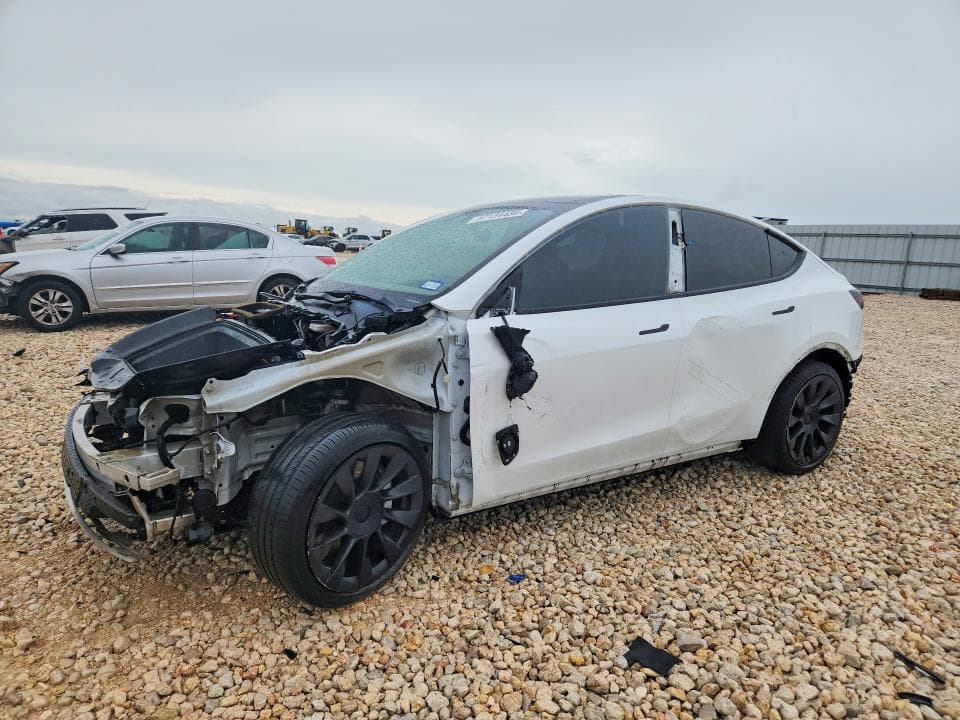 2021 TESLA MODEL Y - 1
