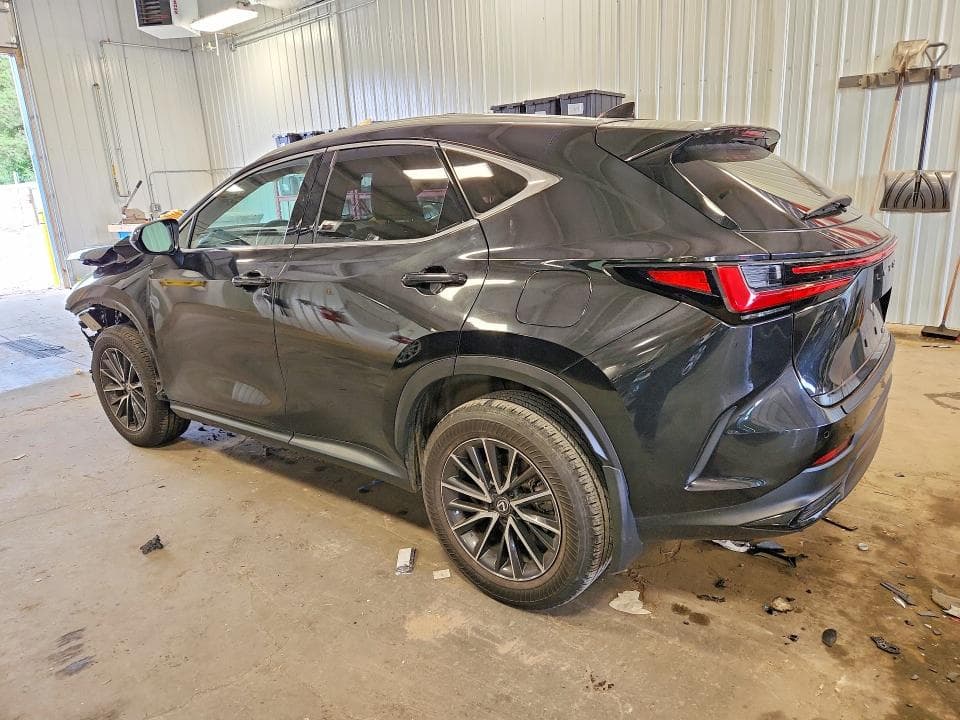 2024 LEXUS NX 250 PREMIUM 2