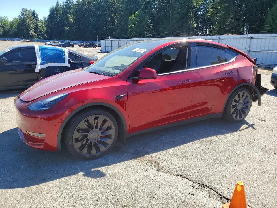 2025 TESLA MODEL Y - 1