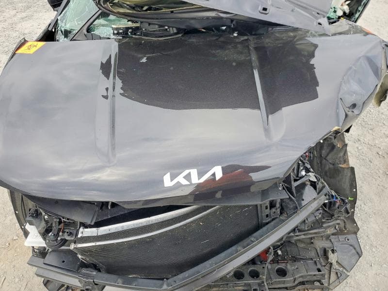 2025 KIA CARNIVAL EX 11