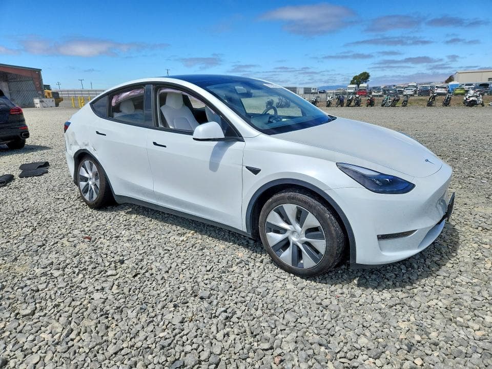 2023 TESLA MODEL Y 4