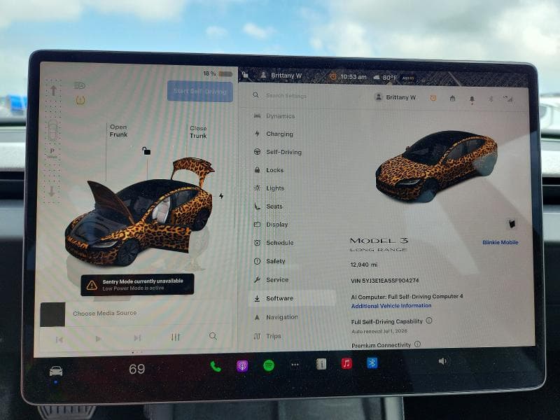 2025 TESLA MODEL 3 9