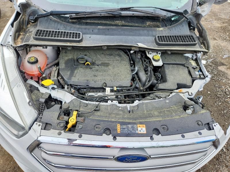 2019 FORD ESCAPE SE 12