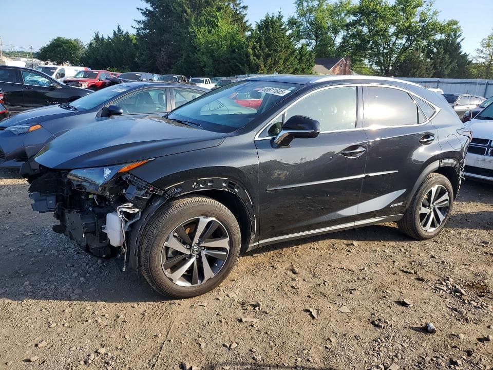 2021 LEXUS NX 300H BASE - 1