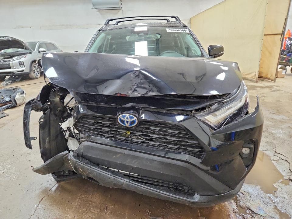 2024 TOYOTA RAV4 XLE PREMIUM 5