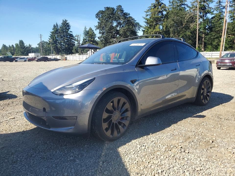 2025 TESLA MODEL Y - 1