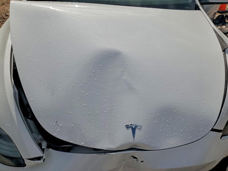 2023 TESLA MODEL Y 12