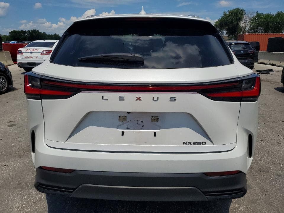 2024 LEXUS NX 250 BASE 6