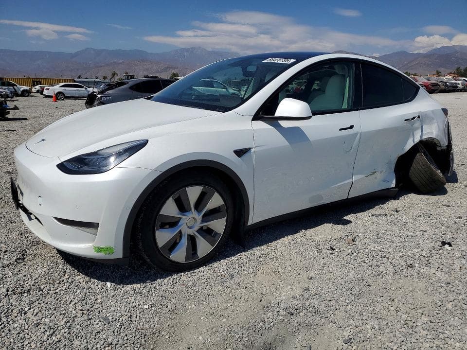2023 TESLA MODEL Y - 1