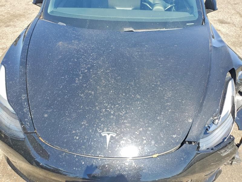 2021 TESLA MODEL 3 11