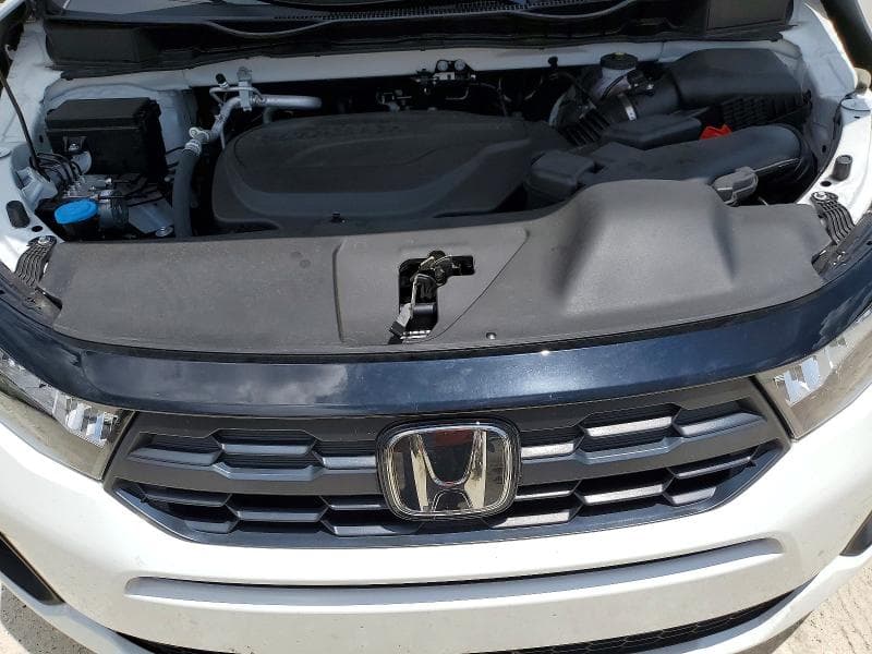 2026 HONDA ODYSSEY EXL 12