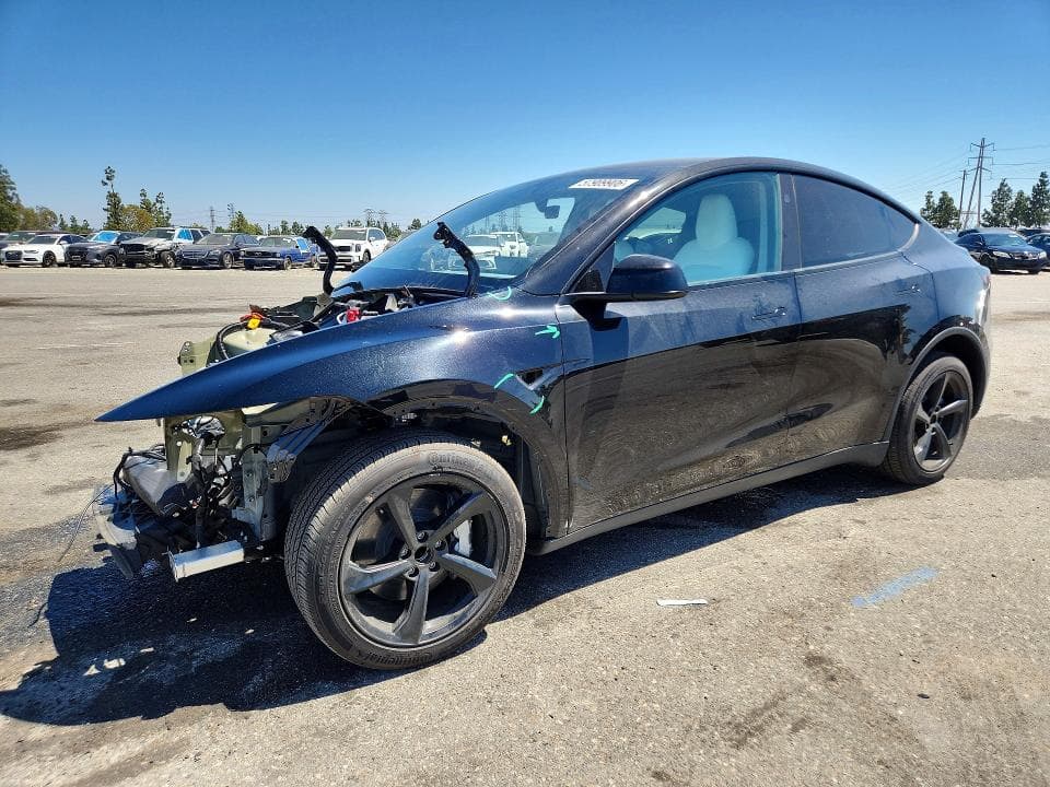 2026 TESLA MODEL Y - 1