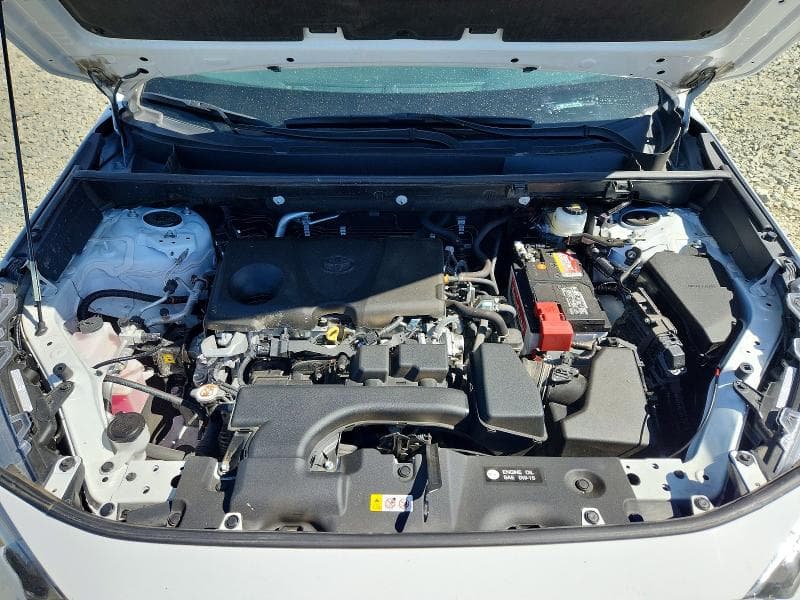 2024 TOYOTA RAV4 LE 12