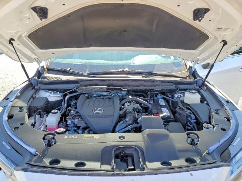 2024 LEXUS RX 350 PREMIUM 12