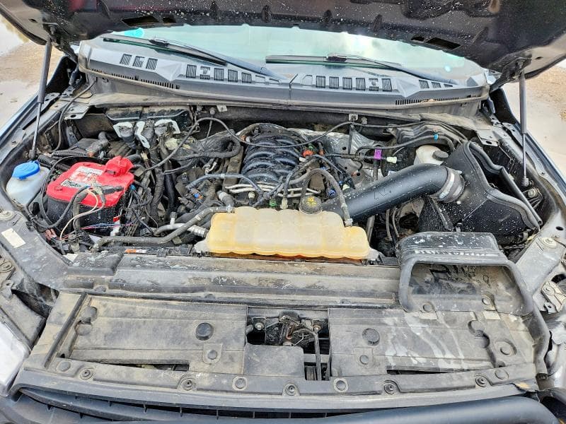 2019 FORD F150 SUPERCREW 11