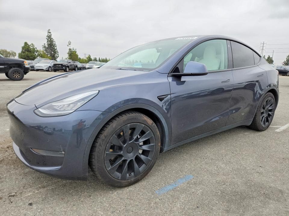2021 TESLA MODEL Y - 1