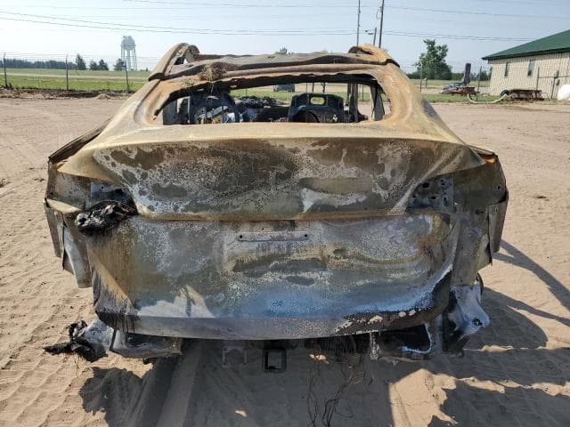 2025 TESLA MODEL Y 6