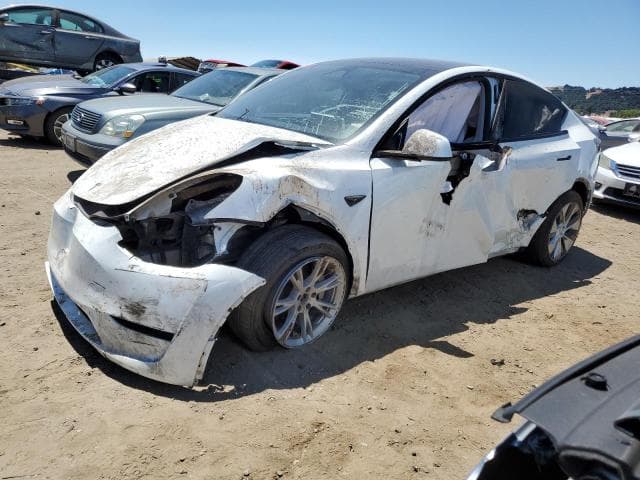 2023 TESLA MODEL Y - 1