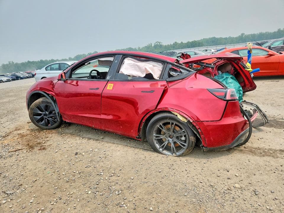 2024 TESLA MODEL Y 2