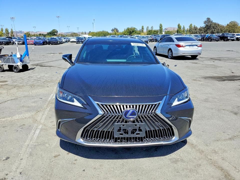 2019 LEXUS ES 300H 5