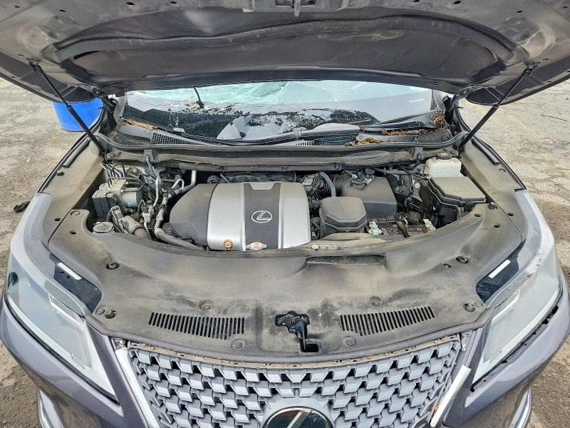2020 LEXUS RX 350 12